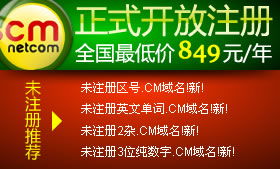 耐思尼克 一站式企業互聯網解決方案，助力您的數字化征程